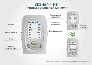 СКЭНАР-1-НТ (исполнение 01)  в Верее купить Медицинская техника - denasosteo.ru 